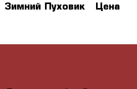 Зимний Пуховик › Цена ­ 2 000 - Брянская обл. Одежда, обувь и аксессуары » Женская одежда и обувь   